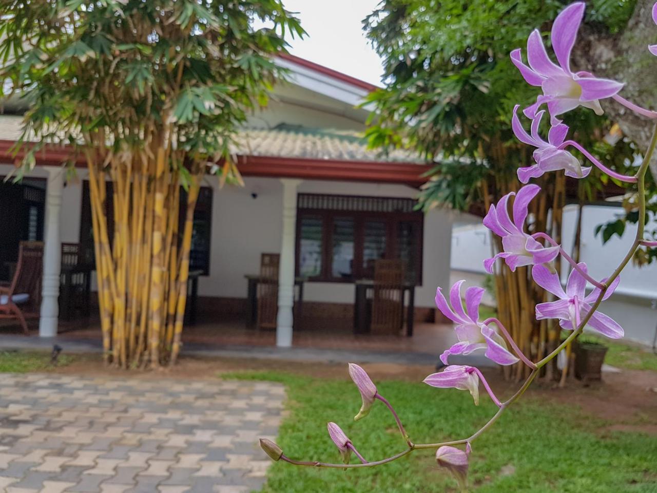 White Villa Beach Resort Mirissa Eksteriør billede